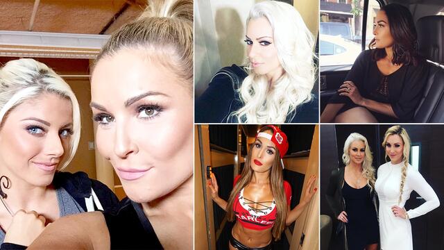 WWE Photo