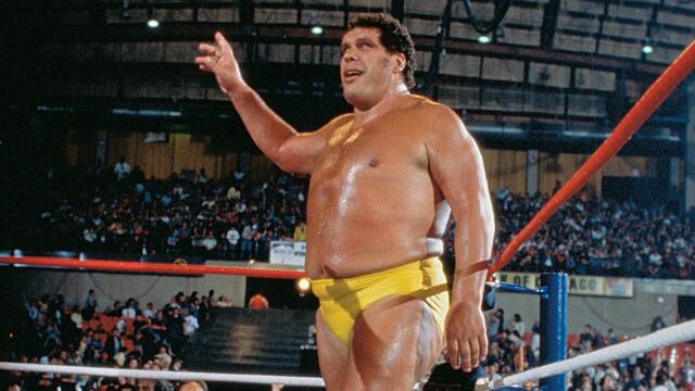 WWE Image