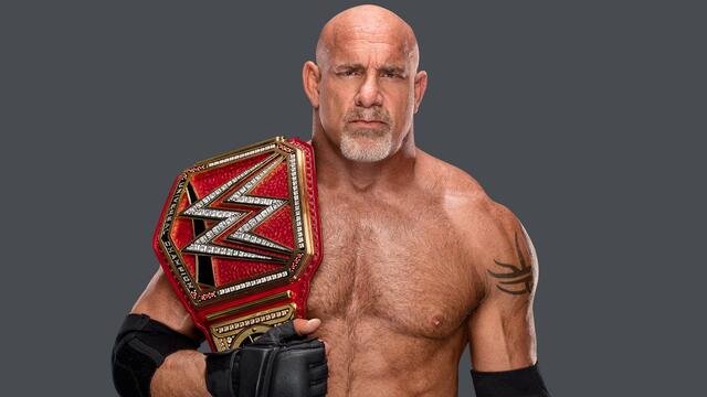 WWE Superstar Goldberg