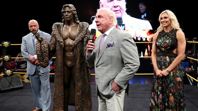 WWE Image