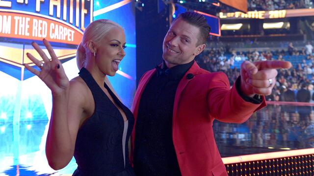 WWE Hall of Fame Red Carpet 2017