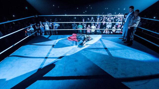 WWE Image