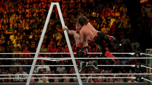 Men's Money in the Bank Ladder Match