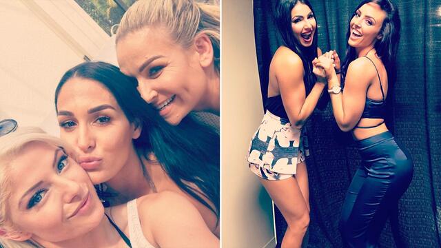 WWE Photo
