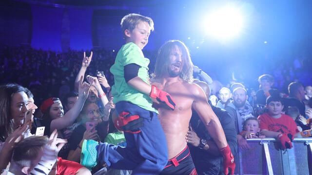 WWE Live in Dublin, Ireland, November 2017: photos