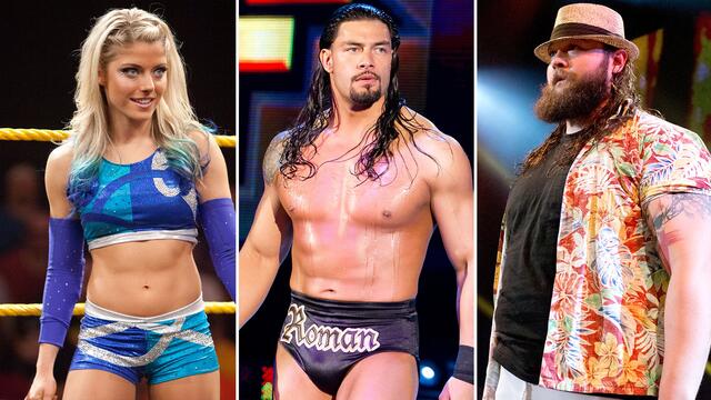 WWE Photo