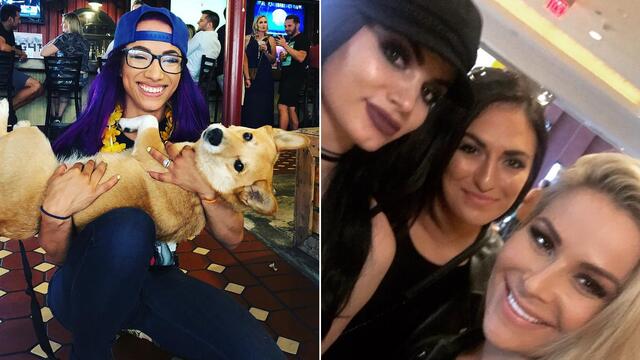WWE Photo