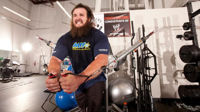WWE Photo