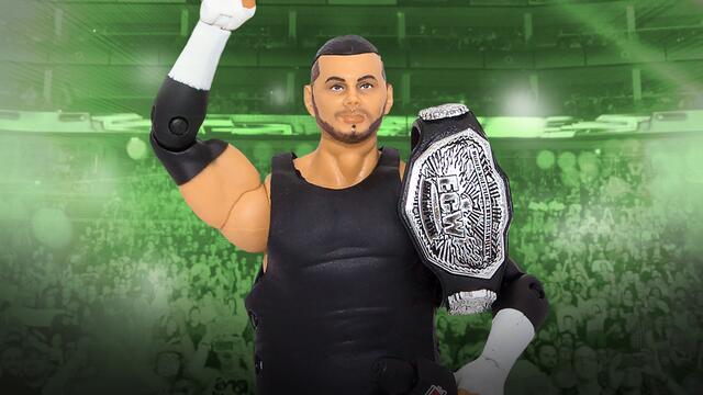 ECW Champion Matt Hardy