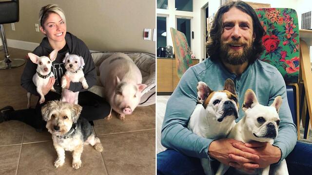WWE Superstars and their dogs