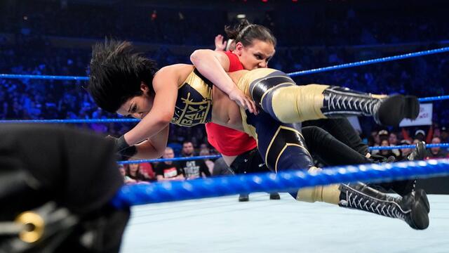 Bayley vs. Cross