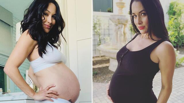 The Bella Twins' baby bumps