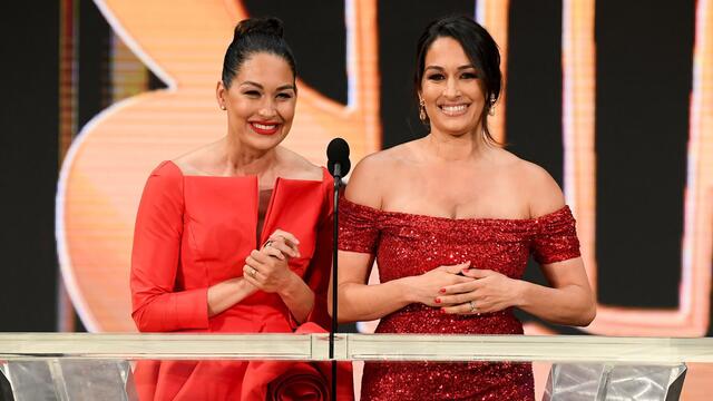 WWE Photo Bella Twins