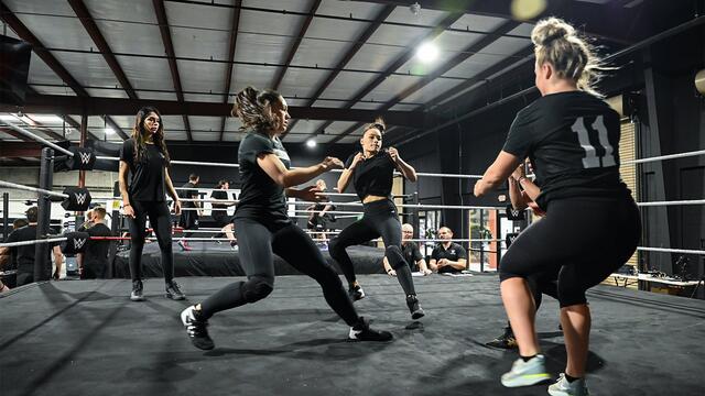 WWE Photo