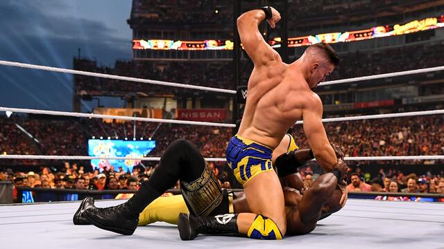 Lashley vs. Theory