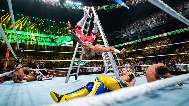 Men's Money in the Bank Ladder Match