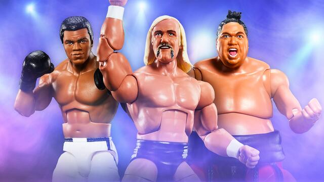 WWE Photo