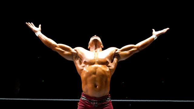 WWE Photo