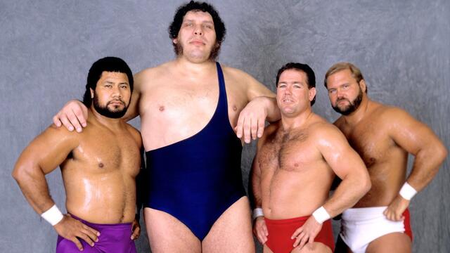 WWE Photo