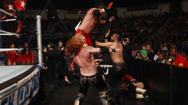 WWE Photo