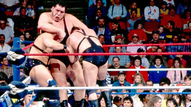 WWE Photo