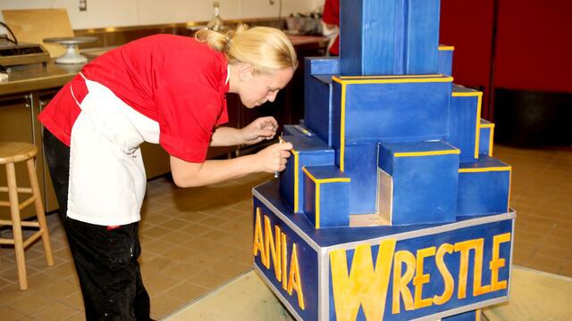 WWE Photo