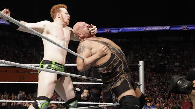WWE Photo
