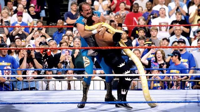 WWE Photo