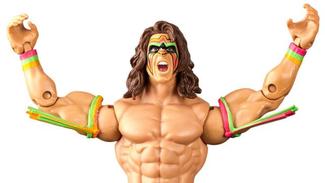 WWE Photo