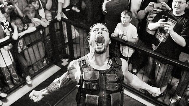WWE Photo