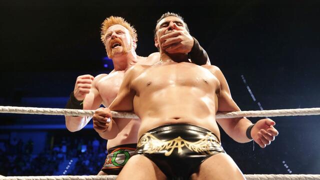 WWE Photo