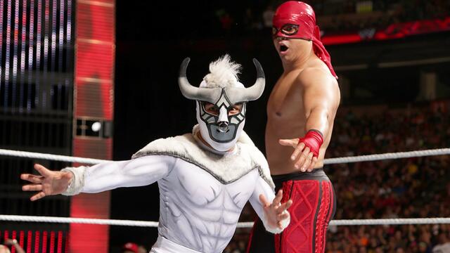 WWE Photo