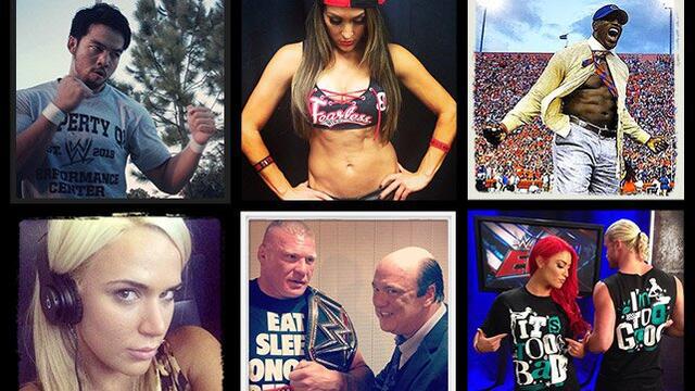 WWE Photo