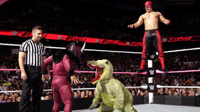 WWE Photo