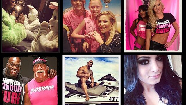 WWE Photo