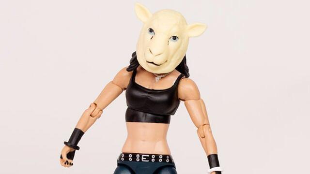 WWE Photo
