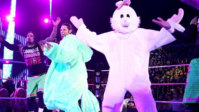 WWE Photo