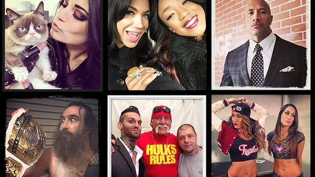 WWE Photo