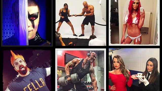 WWE Photo