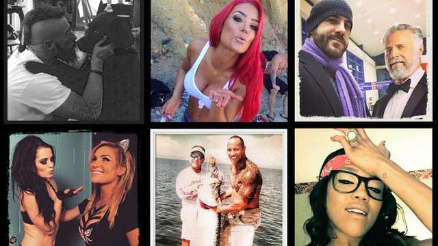 WWE Photo