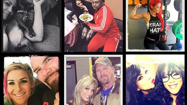 WWE Photo