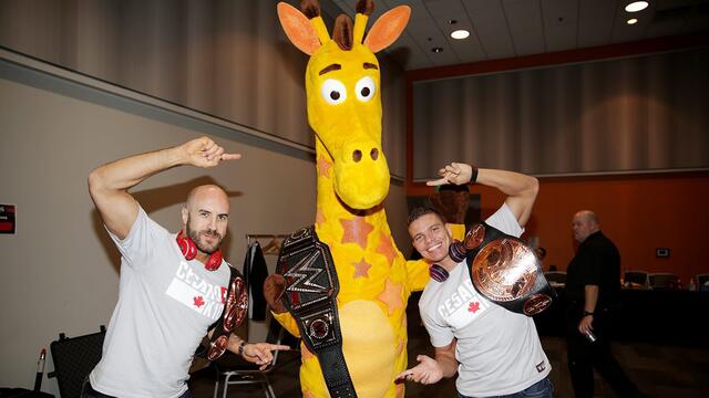 WWE Photo