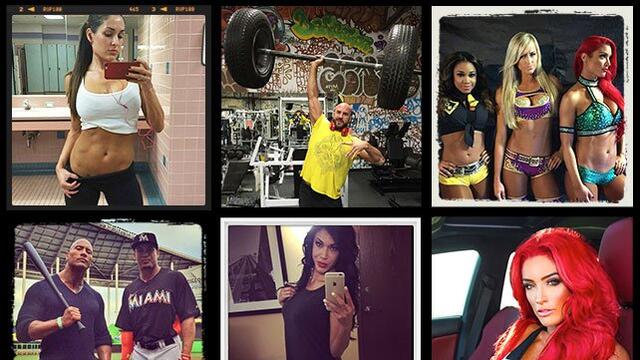 WWE Photo