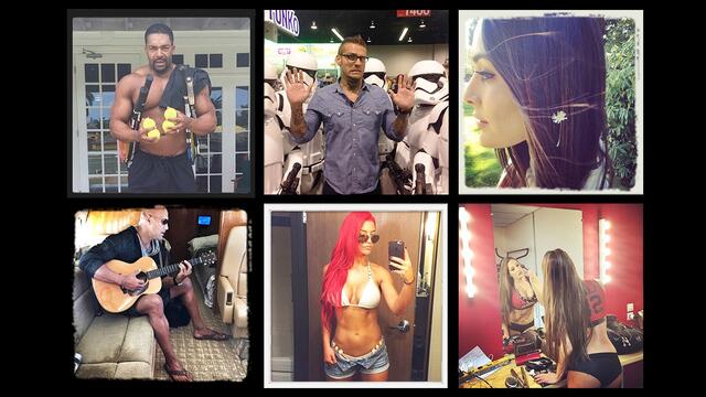 WWE Photo