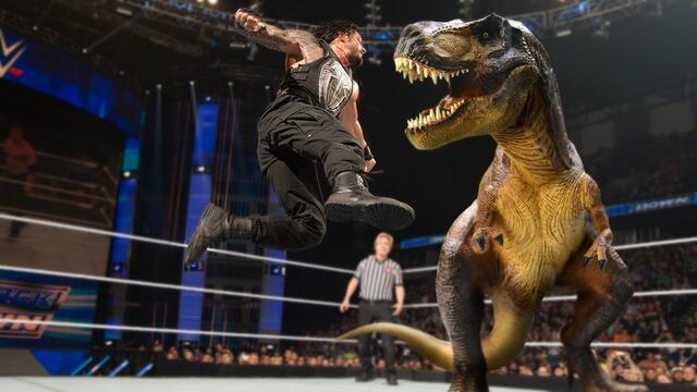 WWE Photo