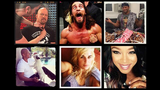 WWE Photo
