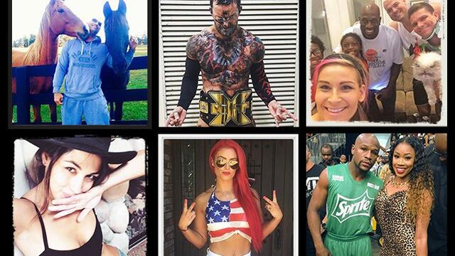 WWE Photo