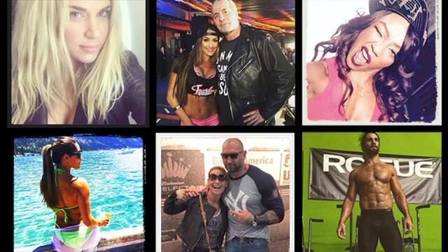WWE Photo