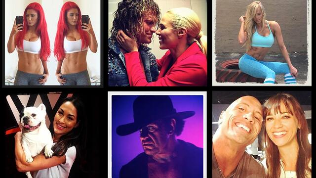 WWE Photo