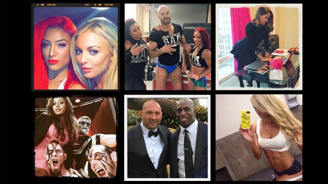 WWE Photo